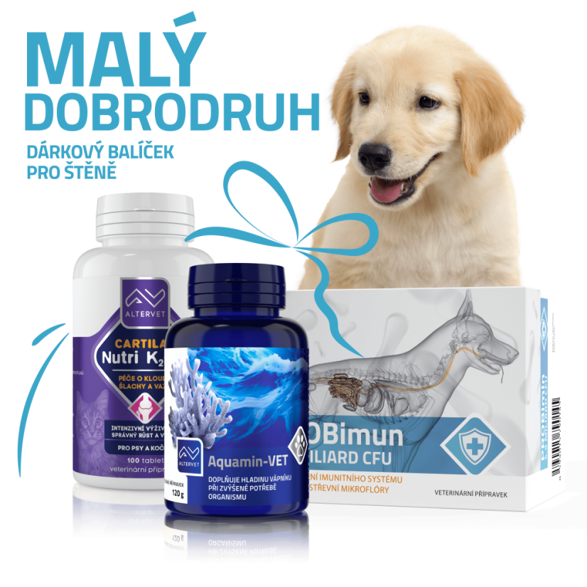 Malý dobrodruh