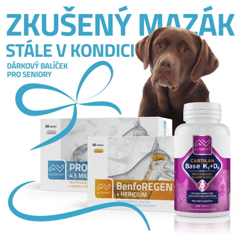 Zkušený mazák stále v kondici