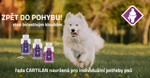 Jak pomoci při pohybových obtížích? Víme jak na to.