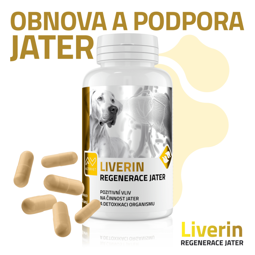 LIVERIN - Počet kapslí: 100 kapslí