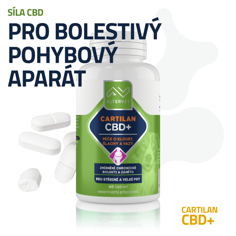 CARTILAN CBD+ - Počet tablet: 40 tablet