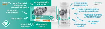 Zklidnění psa na Silvestra: Jak přirozeně zmírnit strach, paniku a úzkost během ohňostrojů