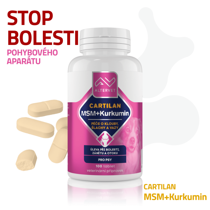 CARTILAN MSM+Kurkumin - Počet tablet: 300 tablet (MEGA balení)