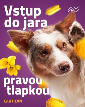 Vstupte do jara pravou tlapkou: Proč jarní prevence kloubů přispívá k aktivnímu létu