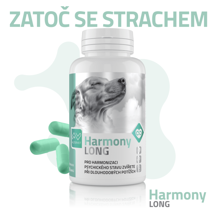 Harmony LONG - Počet kapslí: 100 kapslí