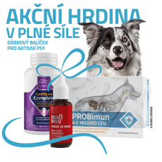 Akční hrdina v plné síle