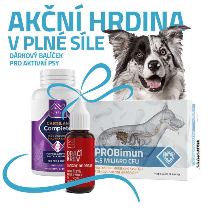 Akční hrdina v plné síle