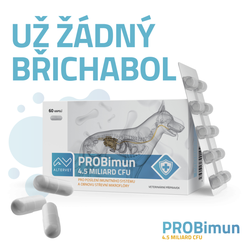 PROBimun - Počet kapslí: 120 kapslí