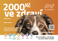 Dárkový poukaz v hodnotě 2000Kč