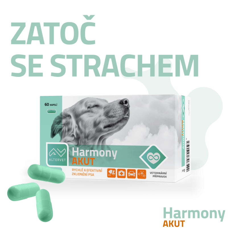 Harmony AKUT - Počet kapslí: 60 kapslí