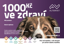 Dárkový poukaz v hodnotě 1000Kč