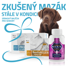 Zkušený mazák stále v kondici