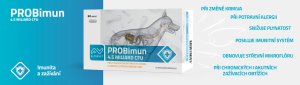 Probiotika pro psy - PROBimun: Tajemství silné imunity a bezstarostného bříška vašeho mazlíčka