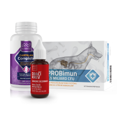 Akční hrdina v plné síle