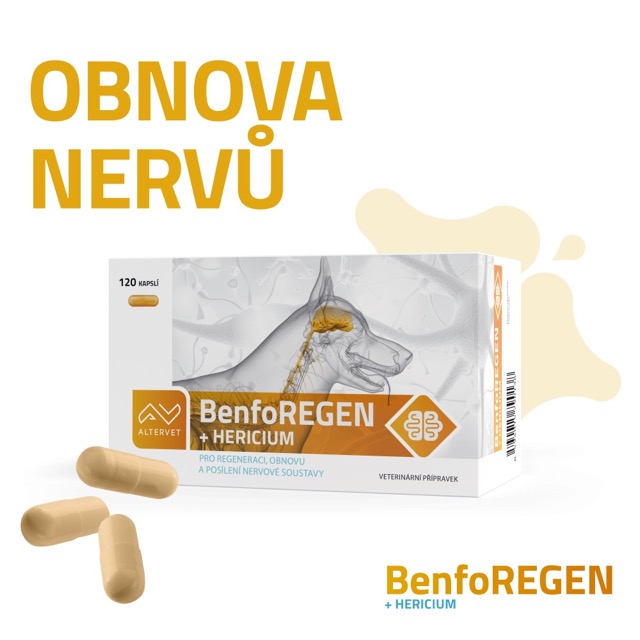 BenfoREGEN - Počet kapslí: 60 kapslí