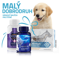 Malý dobrodruh